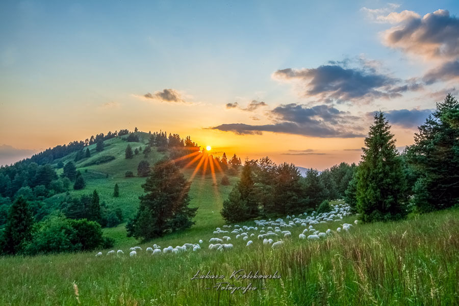 Read more about the article PIENINY O ZACHODZIE